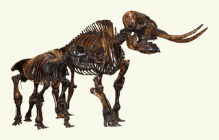Illustration for article titled The La Brea Tar Pits Remind Us That Los Angeles is an Ancient City